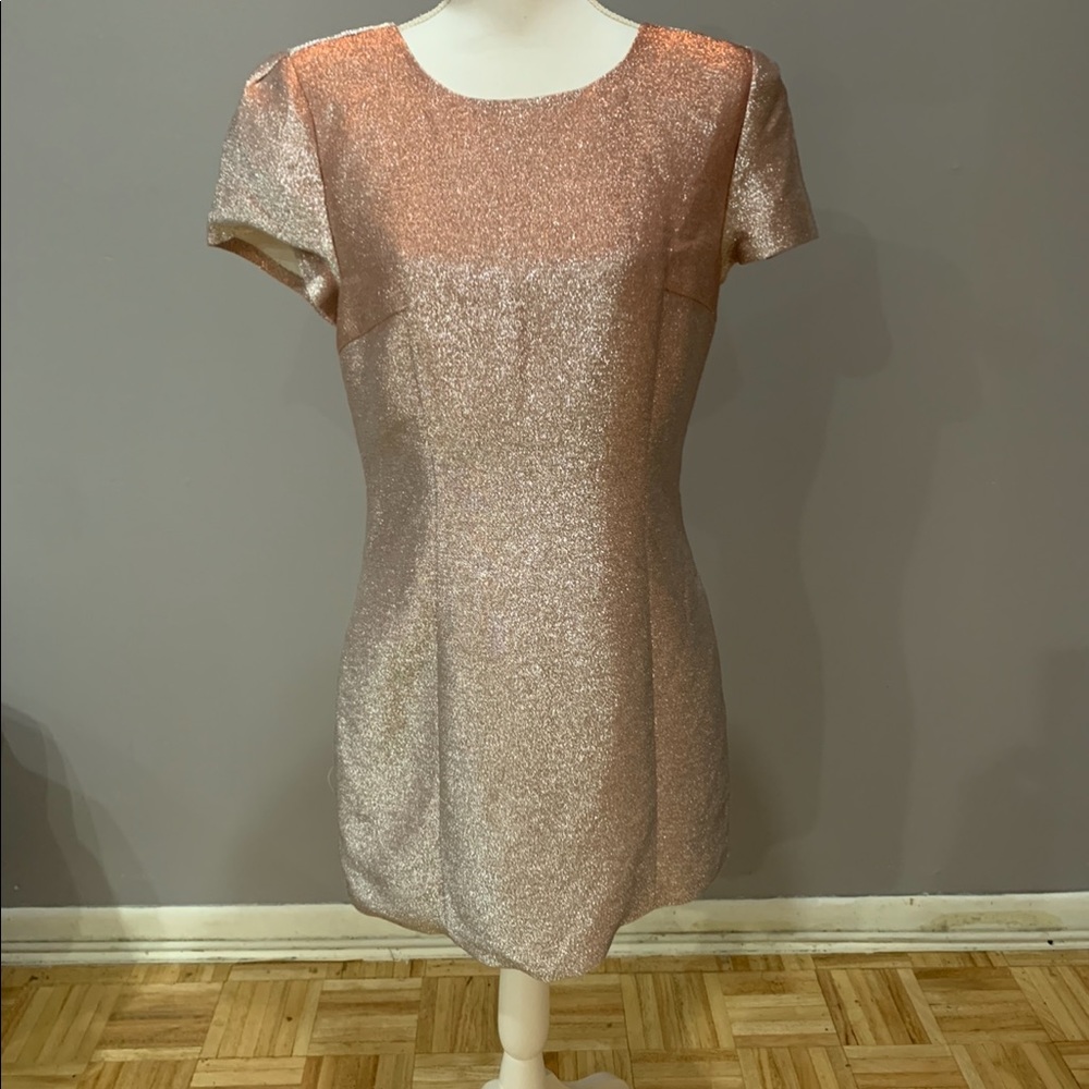 Express pink shimmer dress
